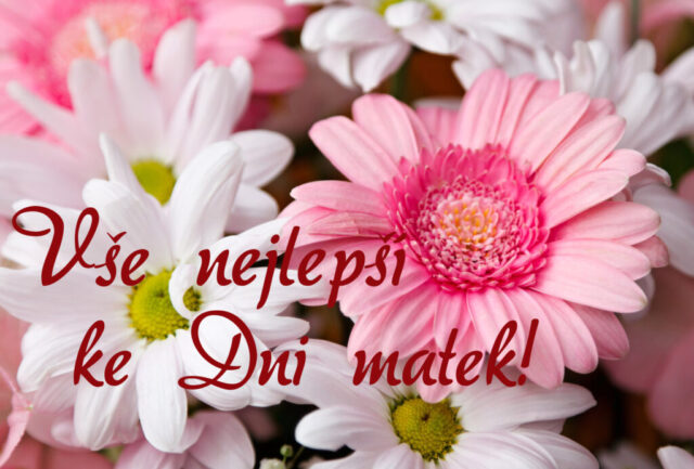 prani ke dni matek zdarma na sirku 041 1024x693