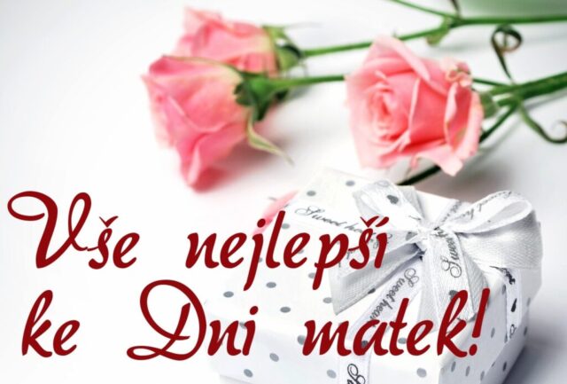 prani ke dni matek zdarma na sirku 042 1024x693