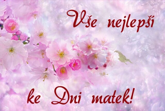 prani ke dni matek zdarma na sirku 044 1024x693