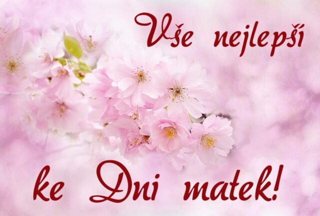 prani ke dni matek zdarma na sirku 045 1024x693