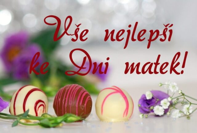 prani ke dni matek zdarma na sirku 046 1024x693