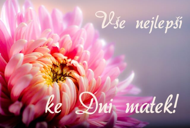 prani ke dni matek zdarma na sirku 047 1024x693