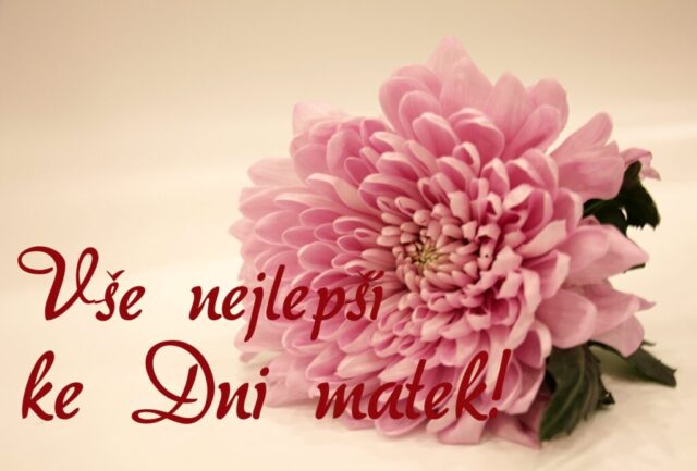 prani ke dni matek zdarma na sirku 048 1024x693