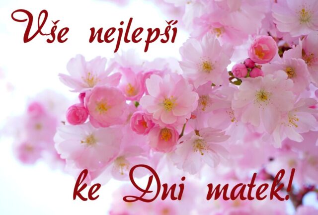 prani ke dni matek zdarma na sirku 049 1024x693