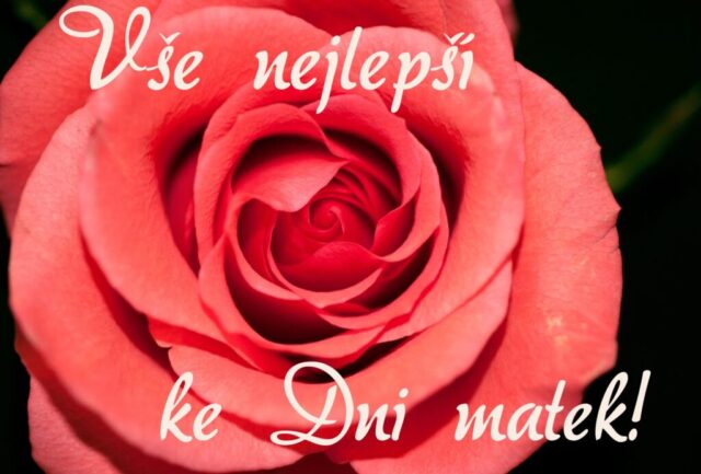prani ke dni matek zdarma na sirku 050 1024x693