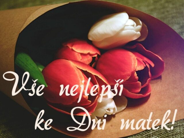 prani ke dni matek zdarma na sirku 053 1024x768