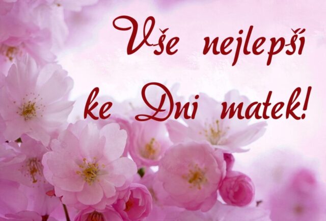 prani ke dni matek zdarma na sirku 054 1024x693