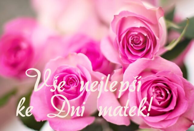 prani ke dni matek zdarma na sirku 055 1024x693