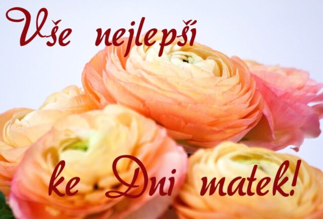 prani ke dni matek zdarma na sirku 058 1024x693