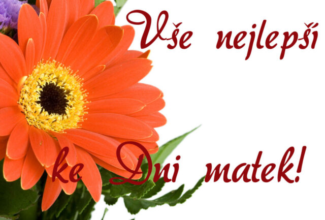 prani ke dni matek zdarma na sirku 059 1024x693