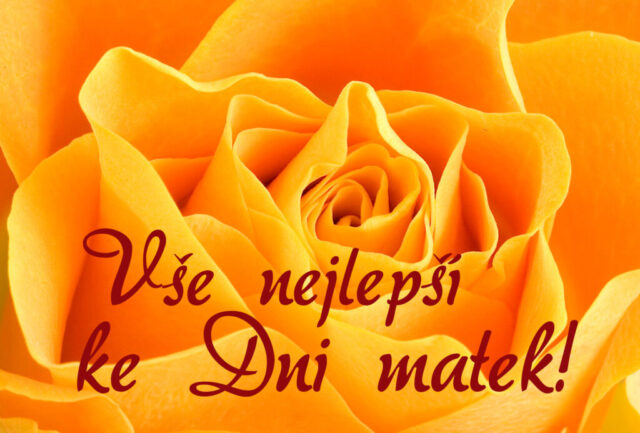 prani ke dni matek zdarma na sirku 062 1024x693