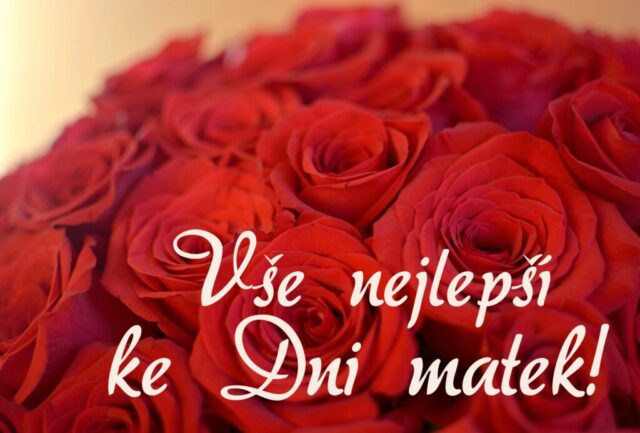 prani ke dni matek zdarma na sirku 068 1024x693
