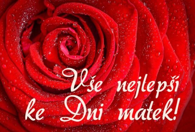 prani ke dni matek zdarma na sirku 069 1024x693