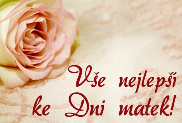 prani ke dni matek zdarma na sirku 070 1024x693