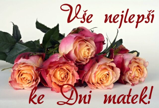 prani ke dni matek zdarma na sirku 072 1024x693