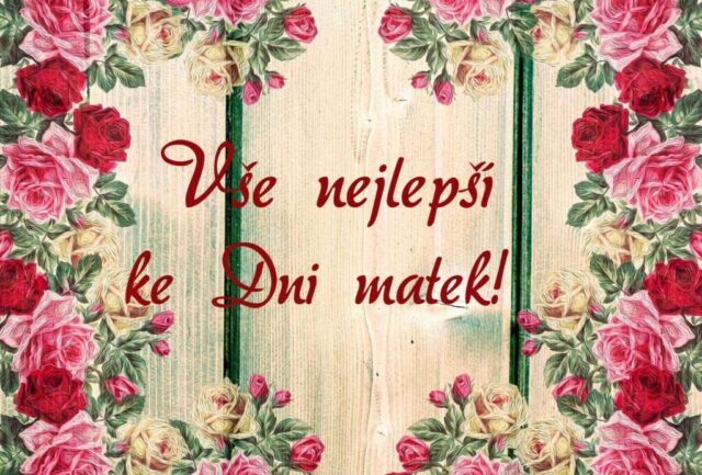 prani ke dni matek zdarma na sirku 073 1024x693