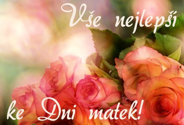 prani ke dni matek zdarma na sirku 074 1024x693