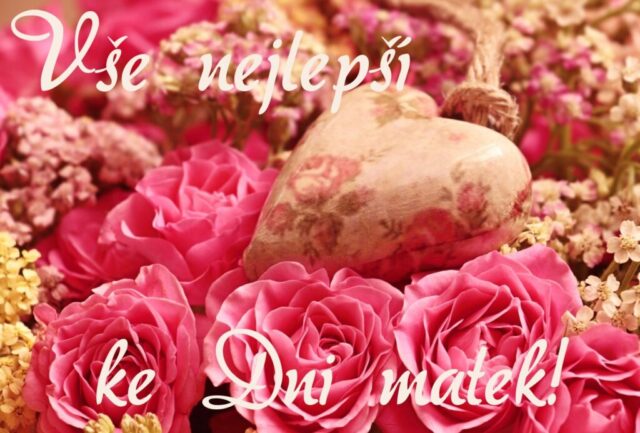 prani ke dni matek zdarma na sirku 075 1024x693