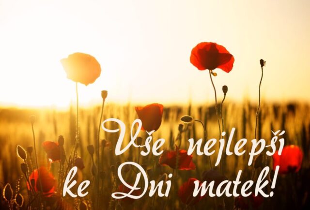 prani ke dni matek zdarma na sirku 076 1024x693