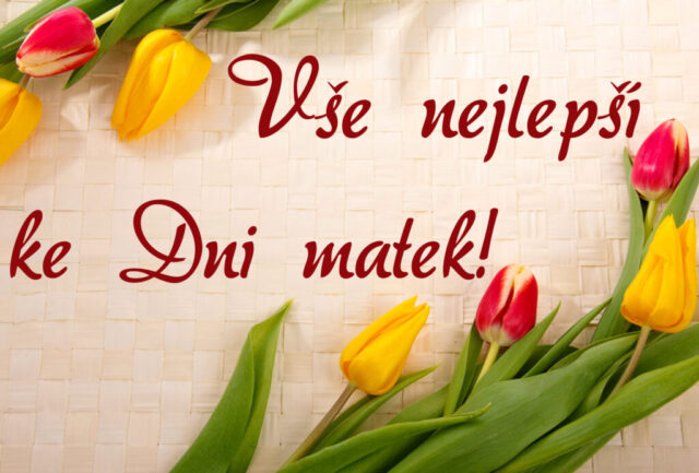 prani ke dni matek zdarma na sirku 077 1024x693