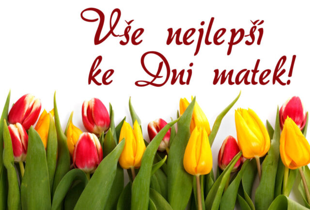 prani ke dni matek zdarma na sirku 088 1024x693