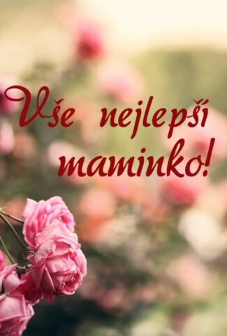 prani ke dni matek zdarma na vysku 001 693x1024