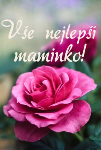prani ke dni matek zdarma na vysku 005 693x1024
