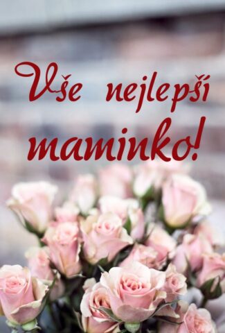 prani ke dni matek zdarma na vysku 007 693x1024