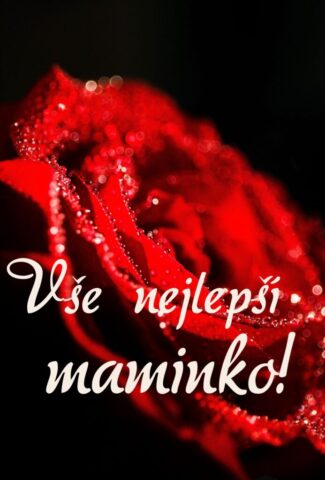 prani ke dni matek zdarma na vysku 008 693x1024