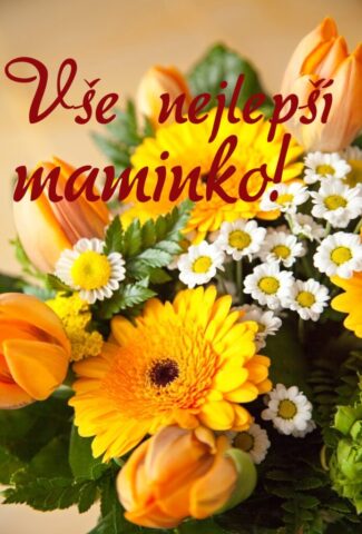 prani ke dni matek zdarma na vysku 009 693x1024