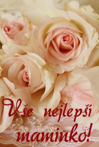 prani ke dni matek zdarma na vysku 010 693x1024