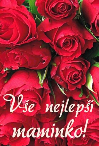 prani ke dni matek zdarma na vysku 012 693x1024