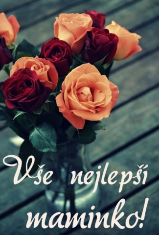 prani ke dni matek zdarma na vysku 013 693x1024