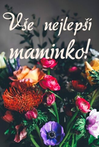 prani ke dni matek zdarma na vysku 015 693x1024