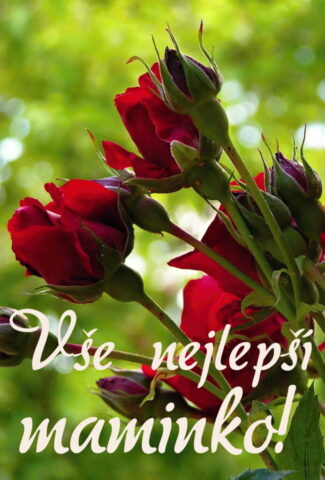 prani ke dni matek zdarma na vysku 017 693x1024