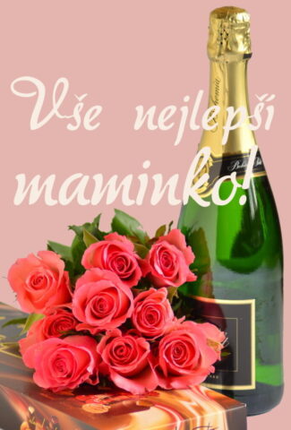 prani ke dni matek zdarma na vysku 022 693x1024