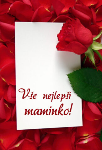 prani ke dni matek zdarma na vysku 024 693x1024