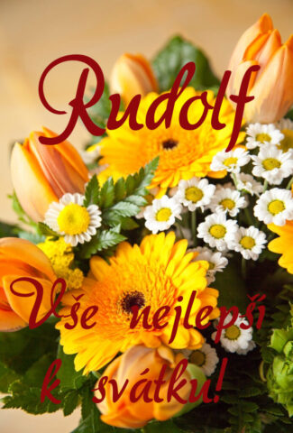 rudolf ruda prani k svatku 693x1024