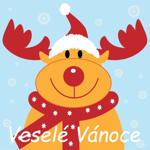 vanocni prani obrazky ke stazeni zdarma 112 1024x1024