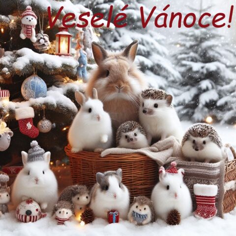 vanocni prani obrazky kreslene ke stazeni zdarma 23 ai 22