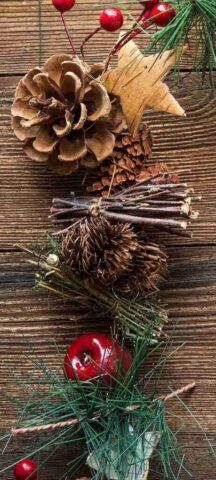 vanocni tapety na mobil iphone zdarma ke stazeni 42 461x1024