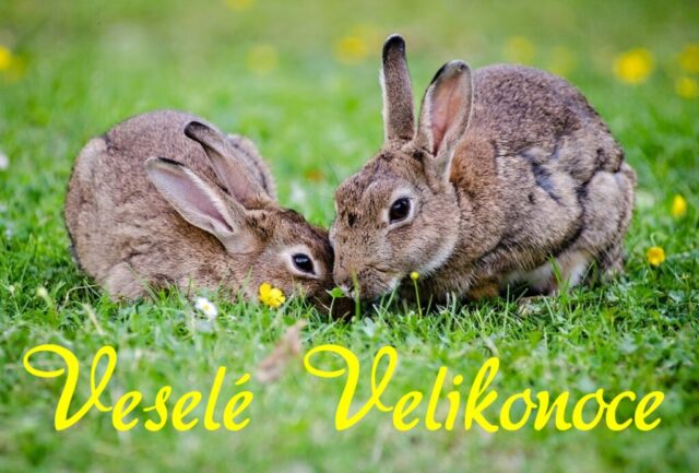 velikonocni prani obrazky zdarma 006 1024x693