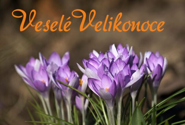 velikonocni prani obrazky zdarma 025 1024x693