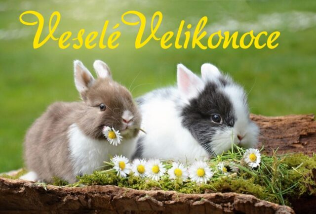 velikonocni prani obrazky zdarma 029 1024x693