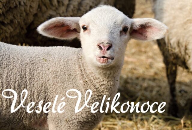 velikonocni prani obrazky zdarma 030 1024x693